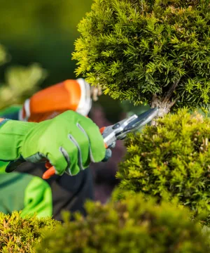 General Landscape Maintenance