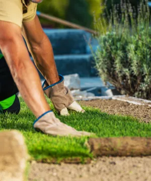 Sod Installation
